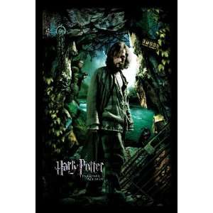 Harry Potter and the Prisoner of Azkaban   Sirius Black 