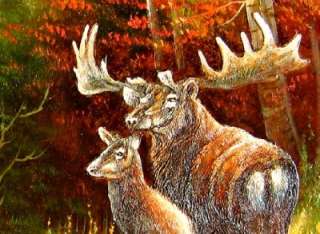 Stretched Wild Animal Oil Painting White Tailed Deer  