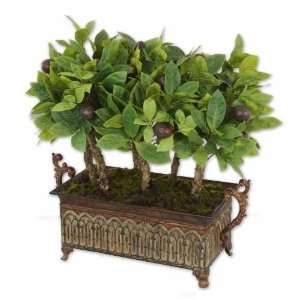  UT60079   Avocado Fruit and Foliage in Footed Planter 