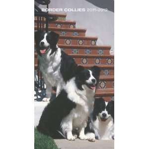    Border Collies 2011 Two Year Pocket Planner (9781421667751) Books