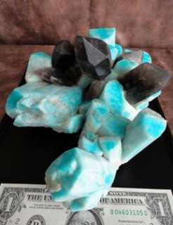 Colorado 7.75  Terminated ite Smoky Quartz Crystals Museum 