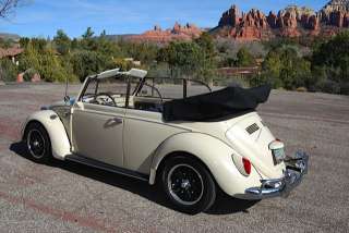 Volkswagen  Beetle   Classic in Volkswagen   Motors