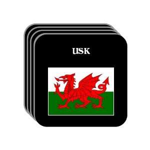 Wales   USK Set of 4 Mini Mousepad Coasters