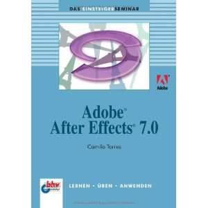 Adobe After Effects 7.0 (DAS EINSTEIGERSEMINAR 