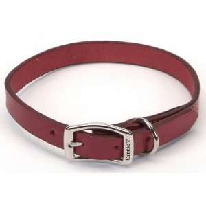   Products CT10431 .75 in. x 18 in. 1106 Town Collar   Red