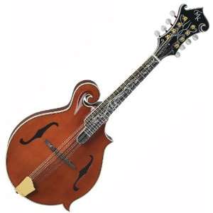   DRAGONFLY FLAME AGED WALNUT F STYLE MANDOLIN Musical Instruments