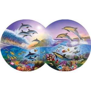  Catch a Wave, Double Circle, 800 pc Toys & Games
