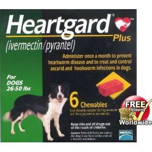 Heartgard Plus Green for Medium Dogs 26  50 Lbs, 6 Chewables Free 