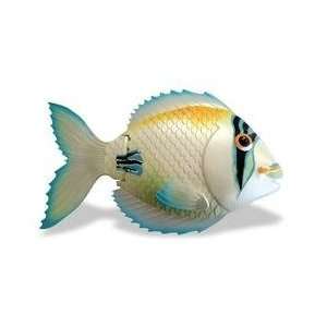  Rainbow Reef Magic Action Trigger Fish   White, Blue and 