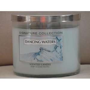   Works White Barn Candle Company 15 Oz. Scented Candle   Dancing Waters