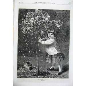   1870 Fine Art Playmates Little Girl Kitten Cat Garden