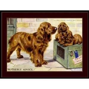  Picture Print Cocker Spaniel Puppy Dogs Art Everything 