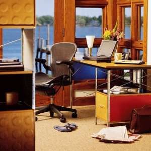  Eames® Desk Unit