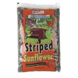  6 each Valley Splendor Striped Sunflower Seed (00387 