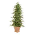 sterling 4 5 pre lit potted frasier artificial christmas tree