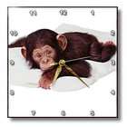 3dRose LLC Monkey   Cute Chimpanzee   Wall Clocks
