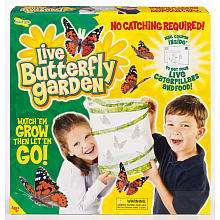 Insect Lore Butterfly Garden   Insect Lore   