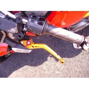  2010 BMW S1000R Pazzo Racing Shorty Levers Gold Levers 