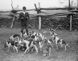   CLUB PHOTO 1914 RABBIT HUNTING AMERICAN KENNEL CLUB DOG BREEDERS