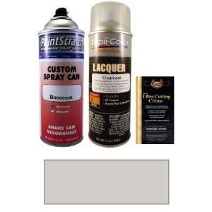  12.5 Oz. Grecian Silver Iridescent Spray Can Paint Kit for 