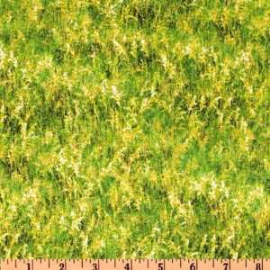  44 Wide Bear Meadow Texture Green Fabric By The Yard 
