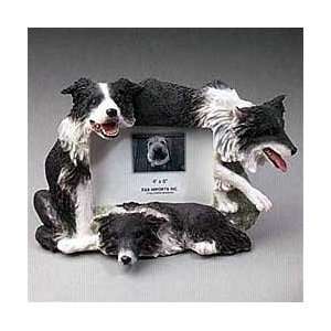  Border Collie Picture Frame