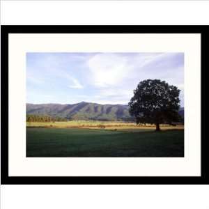  Smokey Mountain National Park, Tennessee Framed Photograph   Jack 