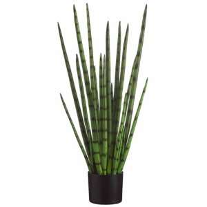  3 Snake Grass