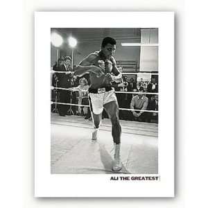 Greatest, Shadow Boxing    Print