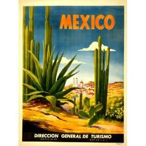   Travel Poster Mexico cactus with a Mexican village