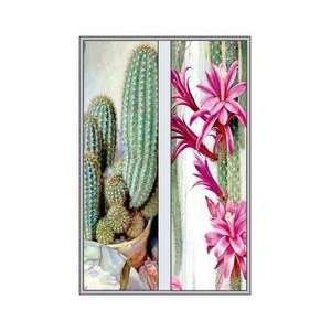  Cactus and Flower 20x30 poster