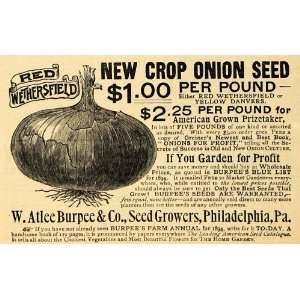   Co. Red Wethersfield Onion Seed   Original Print Ad