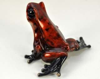 FLAME COSMOS by Frogman Tim Cotterill EUROPEAN FROG  