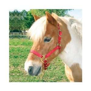 Hamilton Deluxe 3/4 Nylon Miniature Horse Halter   Available in 