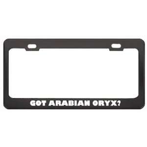 Got Arabian Oryx? Animals Pets Black Metal License Plate Frame Holder 