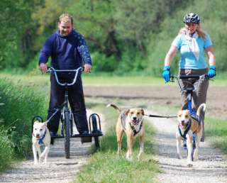Einzel Seminar Zughundesport auf Dog Scooter und Dog Trike in Baden 
