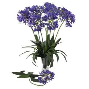 29 African Lily Stem (Set of 12) 