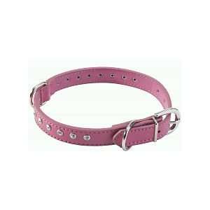  Totally My Pet 20mm X 14 Dog Collar