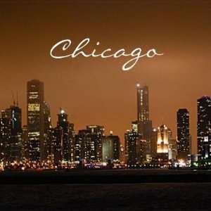 Chicago Skyline at night at Navy Pier Magnet 