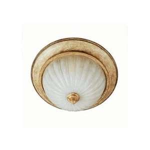  Ceiling Fixtures Maxim MX 2870