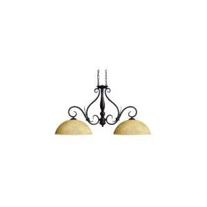   4270CZ Eden 2 Light Island Light in Country Bronze with Scavo glass