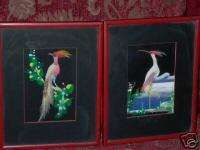 Antique 1952 Feather Bird Framed Art Pictures  