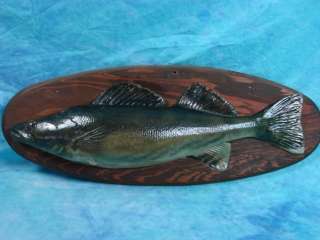 Mounted Plastic Fish Wall Hanging Plaque Walleye Home Decoration Man 