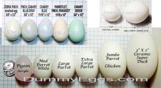 dummyeggs fake bird eggs, dummy eggs, reproduction eggs, replica 
