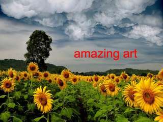 Hand Painted Landscape Oil Painting Sunflower Field  