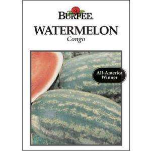 Burpee Watermelon Congo Seed 64026  