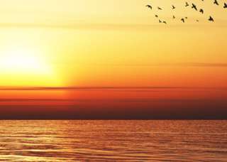 Ocean Sunset Leinwand Bild, 3 teilig, 60x40   120x80 cm  