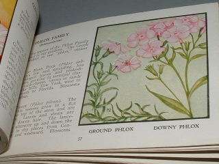 1932, WILD FLOWERS OF AMERICA, Beautiful Color Plates  