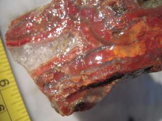 Condor Agate rough 1 /11 01   Nice big chunks of red & orange colored 