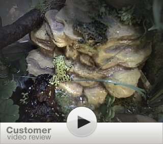    Tetra Decorative Reptile Filter for Aquariums up to 55 Gallons